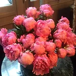فندق Boutique De La Place Des Vosges