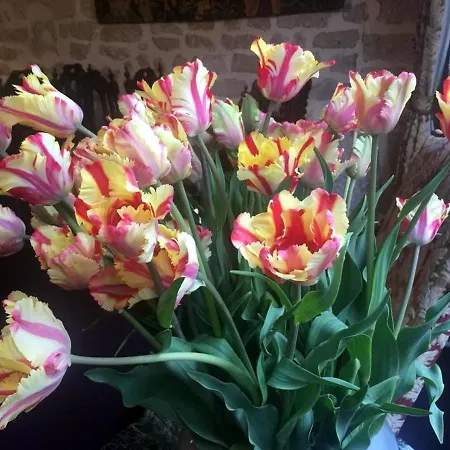 Hotel Boutique De La Place Des Vosges