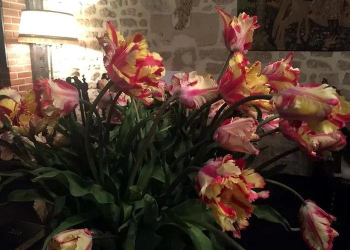 Hotell Boutique De La Place Des Vosges 3*