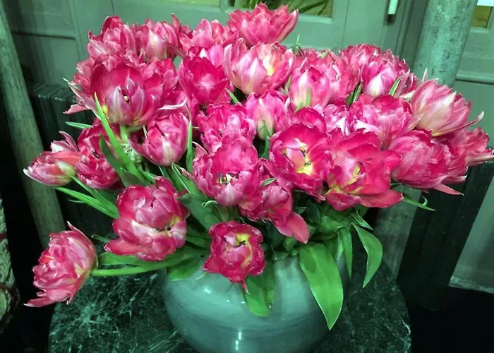 Boutique De La Place Des Vosges Hotell