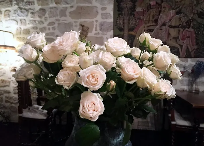 Boutique De La Place Des Vosges