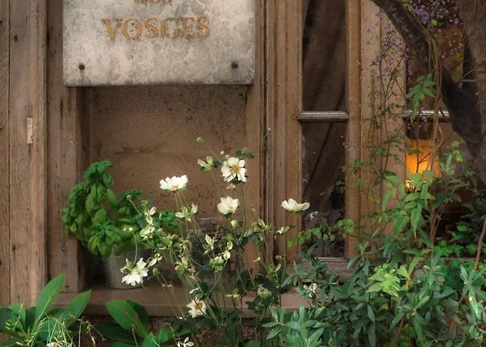 Boutique De La Place Des Vosges