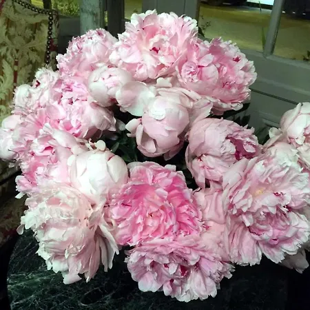 Ξενοδοχείο Boutique De La Place Des Vosges 3*