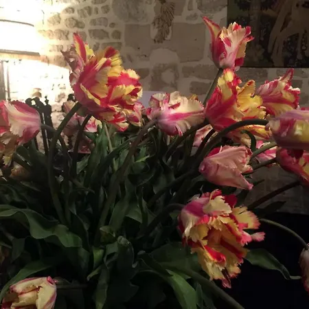 Ξενοδοχείο Boutique De La Place Des Vosges 3*