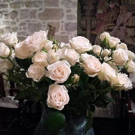 Boutique De La Place Des Vosges