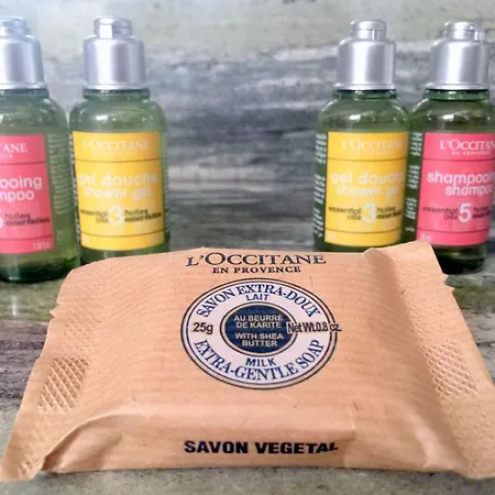 Boutique De La Place Des Vosges 3* Παρίσι